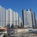 현대 사원아파트 앞 공원 이미지