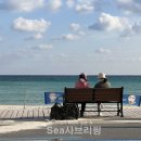 도란도란 이미지