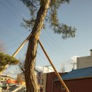 수비농협 이미지