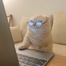 호주면세점 용산점 | [쇼핑]돈쓰기 무지하게 좋아하거등요🛼