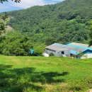 데미샘꿈그린 이미지