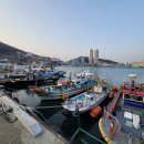 장승포동 주민센터 | 겨울에도 걷기 좋은 거제도 여행 9편 장승포 무지개 해안 도로 윤개 공원 전망대 삼밭 카페 동백섬 지심도