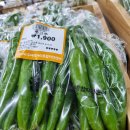 순애농장 이미지