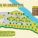 양평힐링계곡 오토캠핑장 이미지