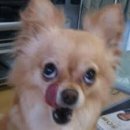 [별내동]레몬데이즈 샐러드&amp;요거트 별내점