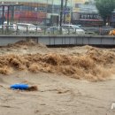 북부천변 이미지