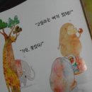 꼭꼭 숨어라 동물들아 이미지