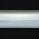 바다마루 이미지