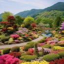 임진각 관광안내소 이미지