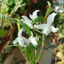 기화농장 이미지