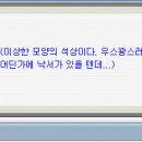 슬리피우드 - 21486 | 슬리피우드