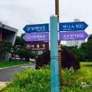 시민운동장 씨름장 이미지