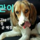 지금 이미지