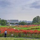 수원농장 이미지