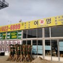 여명꽃집 이미지