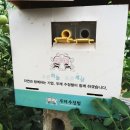 강씨농장 네이버블로그