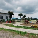 에코승마아카데미 이미지