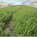 가산산성마을 이미지