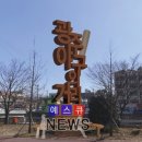 임동 야구의거리 이미지