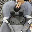 베스트클린스팀세차 이미지