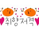 와송식육식당