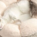 산타펫 - 2280 | 산타펫