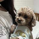 상사서로4길 이미지