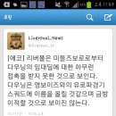 영에코 이미지