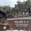[평창/숙소] 평창 힐링 우드 펜션 숙소 후기(휘닉스 스노우 파크, 스키장 숙소 추천, 바베큐, 커플 여행)