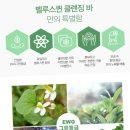벨루스퀸 네이버블로그