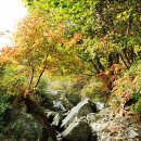 캐슬의아침 이미지