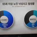 65세 이상 가정 내 낙상 발생 장소 이미지