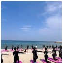 솔게스트하우스 양양서핑점 이미지