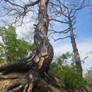 천주산 등산로 입구 | 🏆대한민국 최초 부부(이용석,이영숙)동반 100대 명산 그랜드 슬램 달성 완등 후기(3)