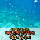 세부 호핑, 현지 로컬 투어 업체 직접 이용 후기 (카톡 : John Eden Minguito)