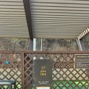 강아지테마파크 이미지