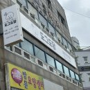 도그도담 | 인천애견미용 도그도담 말티즈 스포팅 미용 후기