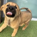 뚜비농장 이미지