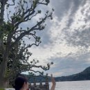 이태리당구장 이미지