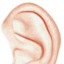 시그니아독일보청기경산센터 이미지