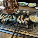 장어나라 이미지