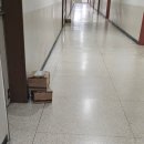 (주)스핀메타 | 2025년 1월 일상