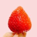 성서무도장 | [미술사] 4. 인상주의