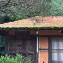 대림한정식 이미지