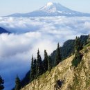 초지공원(상) 이미지