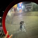 악쓰는하마코인노래연습장 홍대3호점 | 신촌 특이한 이색 테마 코노 &#39;악쓰는하마 코인노래방&#39; 내돈내산 솔직 후기