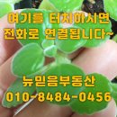 New믿음공인중개사사무소 네이버블로그