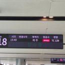 제주모담