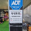 용인 둔전 맛집 녹차먹은 프리미엄 삼겹살 숙성육관 후기