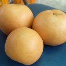 성림농장 이미지